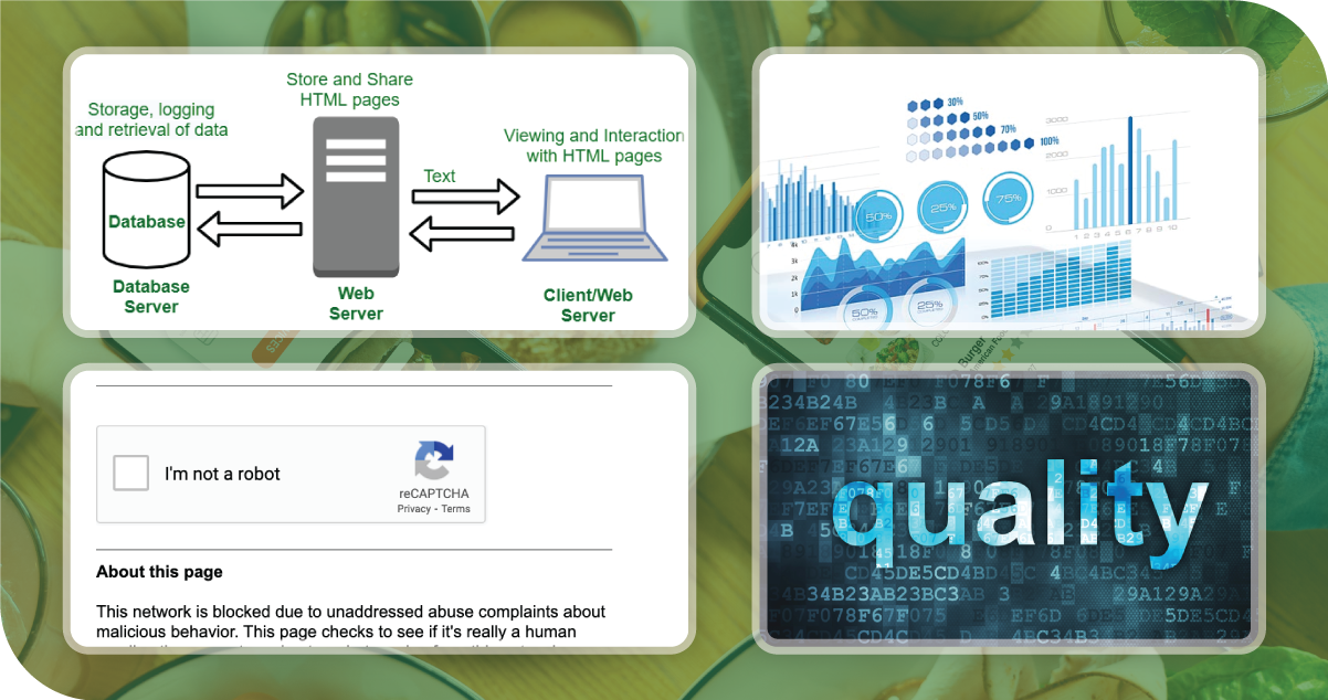 Ensuring-Data-Quality